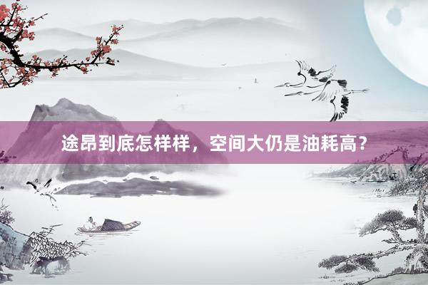 途昂到底怎样样，空间大仍是油耗高？